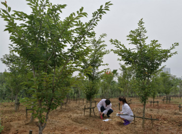 2c9729d6-4c50-4e1f-8729-af426e98f730 V66.COM(中国区)官方网站