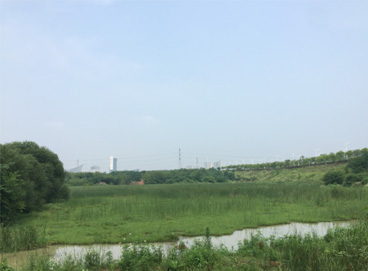 5621a22a-c904-48a2-b0c4-981c5f82d96b V66.COM(中国区)官方网站