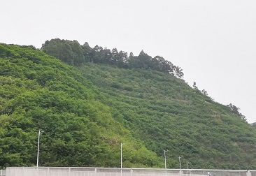 f29621b4-c0ae-4efc-b815-6d3587170bda V66.COM(中国区)官方网站